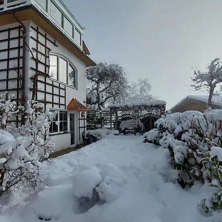 Bergblick - Mountainview Apartment